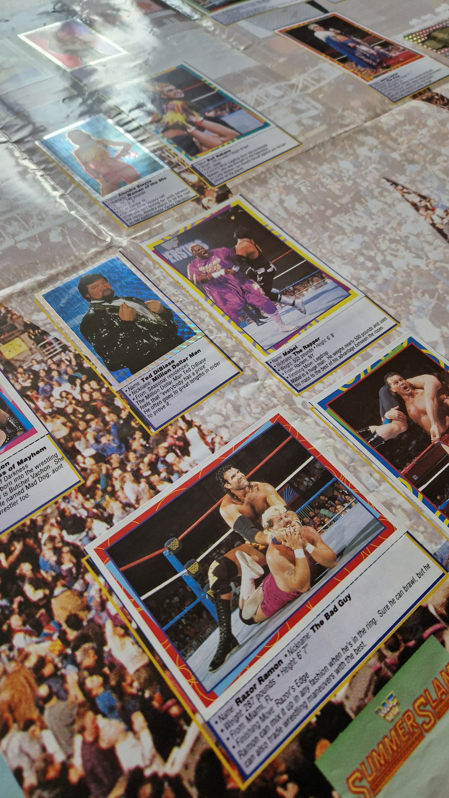 WWF MAGAZINE ☆ COMPLETE STICKER WALL CHART BRET 1994 Giant Double Sided Vintage Wrestling ☆ Titan Sports