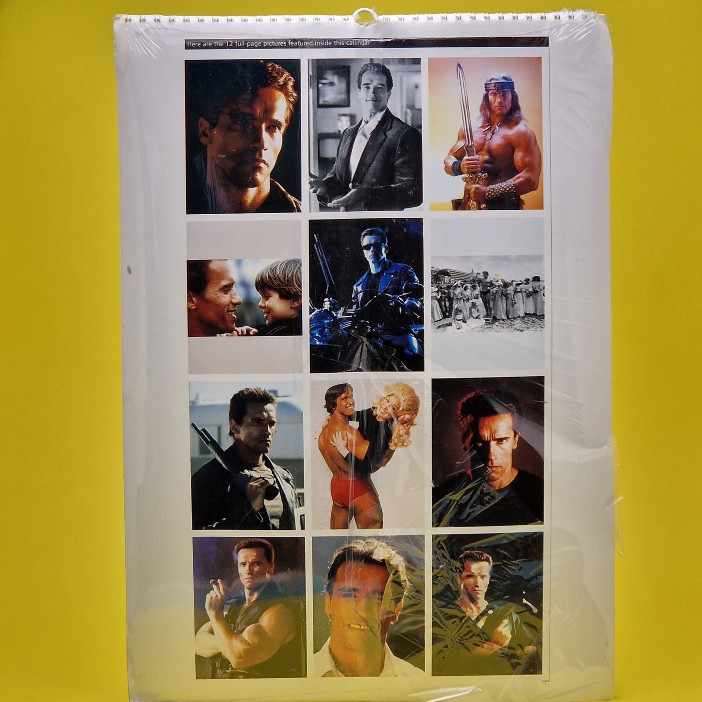 ARNOLD SCHWARZENEGGER ☆ CALENDAR 1994 Spiral Binding 30 x 42 cm 12 images ☆ Vintage Original 90s