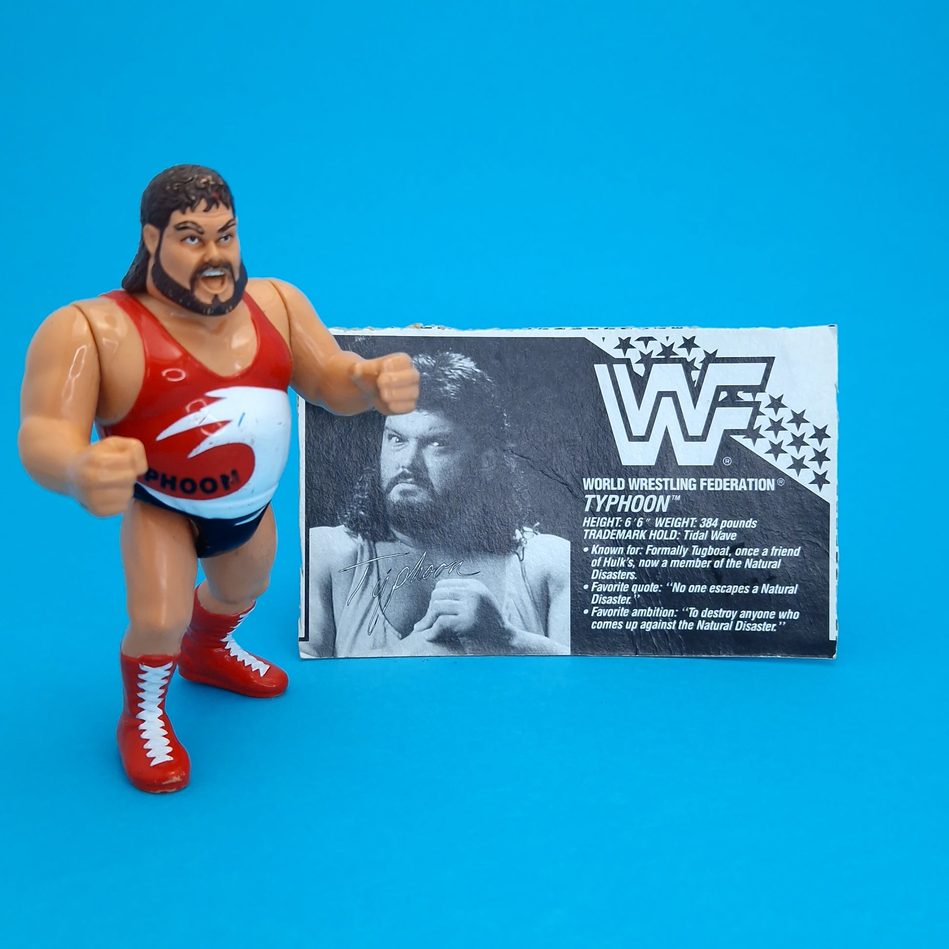 WWF HASBRO TYPHOON Vintage Wrestling Figure ☆ Bio Card Series 3
