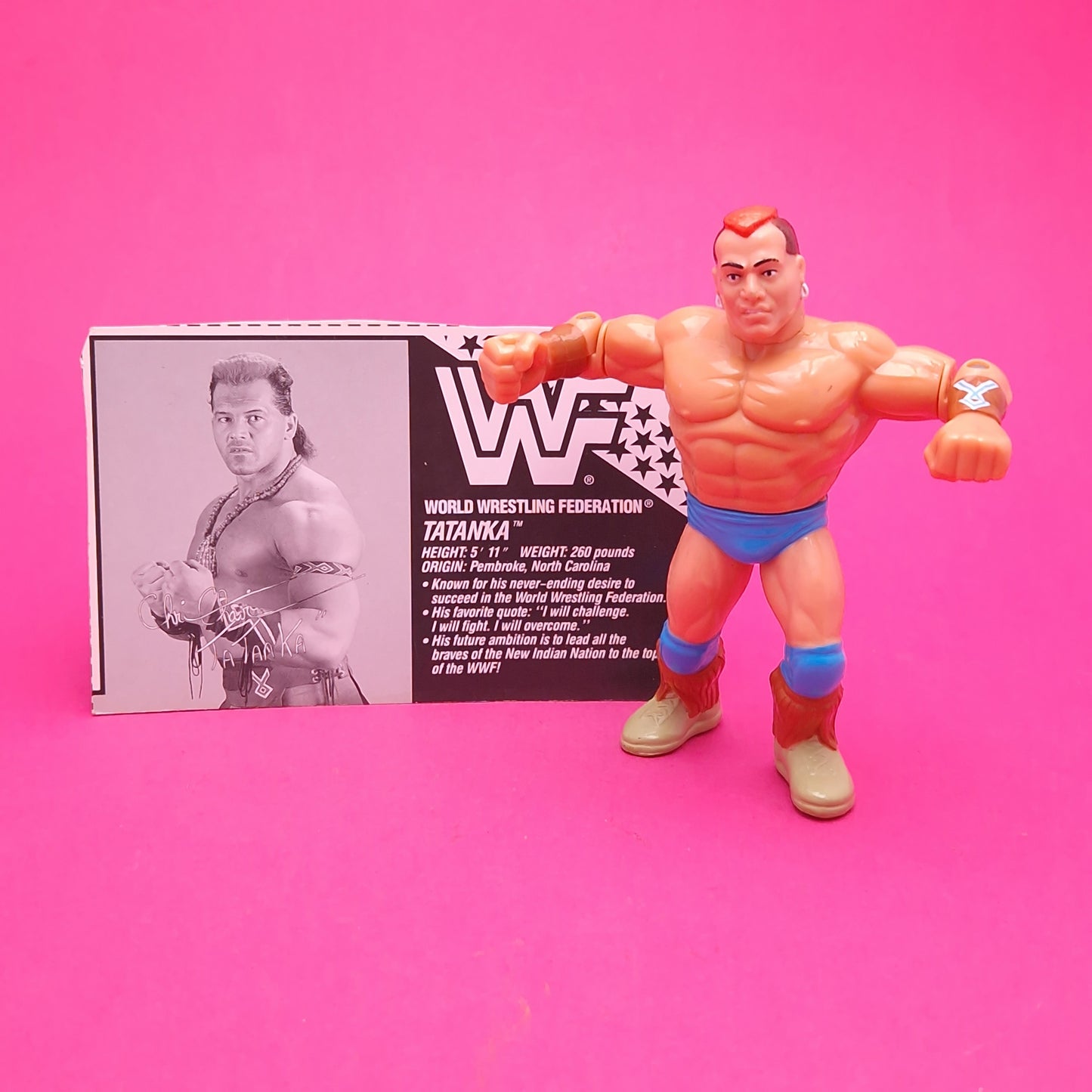 WWF HASBRO ☆ TATANKA Vintage Wrestling Figure ☆ Original 90s Series 6 Bio Card