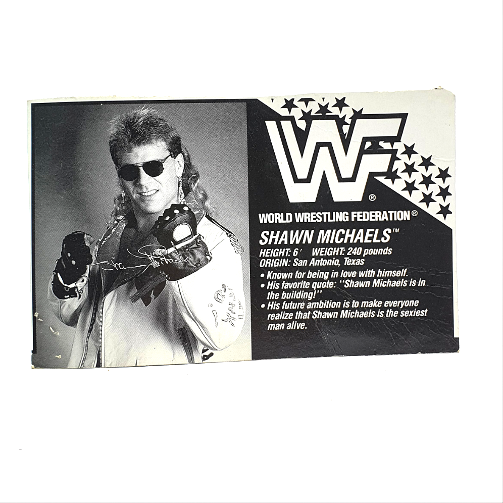 WWF HASBRO SHAWN MICHAELS Vintage Wrestling Figure CARD BIO ☆ Original 90s Series 7
